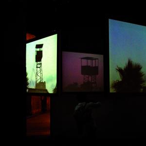 The Connivance of Watching Birds The Connivance of Watching Birds