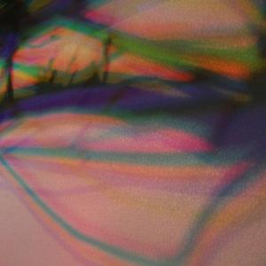 I colori della biodiversità -2015