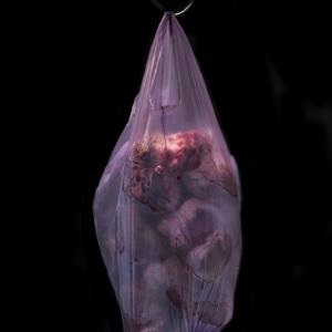 Plastic Society , The Heartless Plastic Society , The Heartless