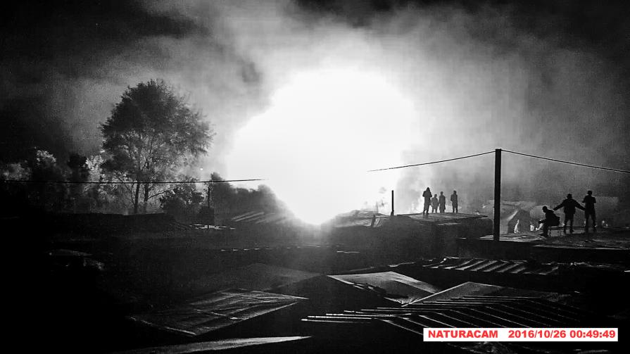 Password: Fajara 00:49:49 Password: Fajara 00:49:49