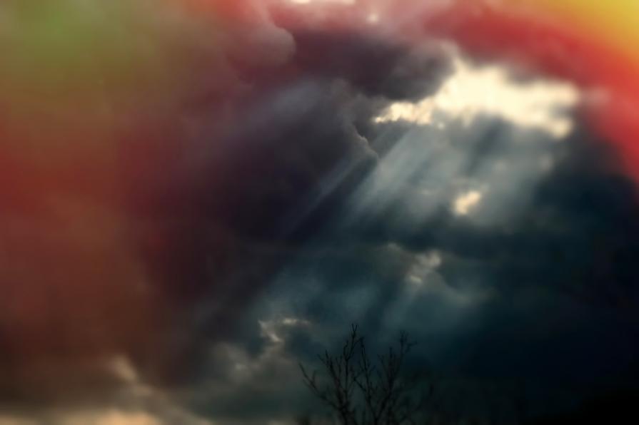 Tutto è possibile   ( Everything is possible ) 