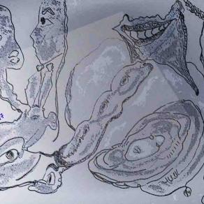 حلزون , Snail , Schnecke,  lumaca playing with