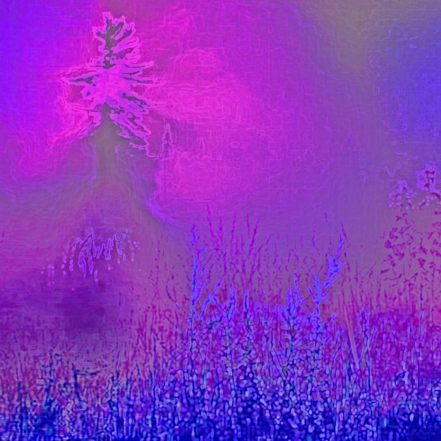 … chiudi gli occhi e concentrati sulle tue sensazioni, perchè anche un giorno di nebbia non è per caso. … chiudi gli occhi e concentrati sulle tue sensazioni, perchè anche un giorno di nebbia non è per caso.