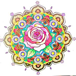 Non smettere mai di fiorire anche quando il mondo intorno a te è in silenzio