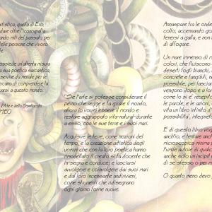 PERSONALE - ERIN POLLA