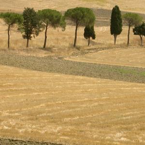 Italy. Basilicata. Matera and its lands