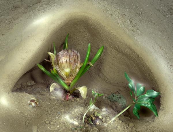 Fotografia d'Autore Fotografia d'Autore