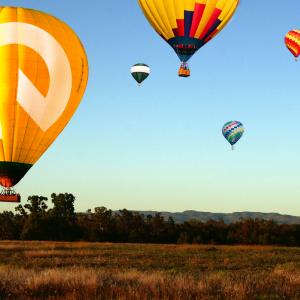 New EQ website about to launch! New EQ website about to launch!