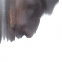 Pedro Junqueira Maia