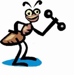 una web tv di approfondimento dedicata alla cultura contemporanea