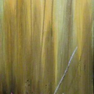  La Natura Morta : ieri ed oggi