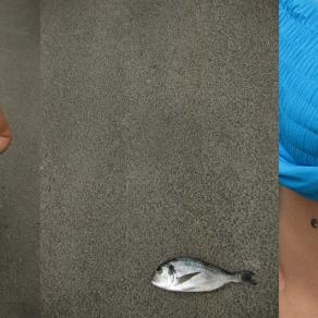 L' incertezza...Omega 3   