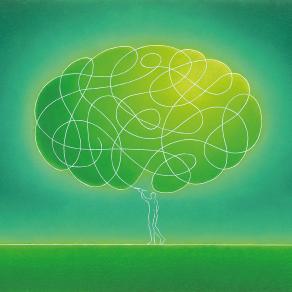 Valente Taddei, 'Shock'