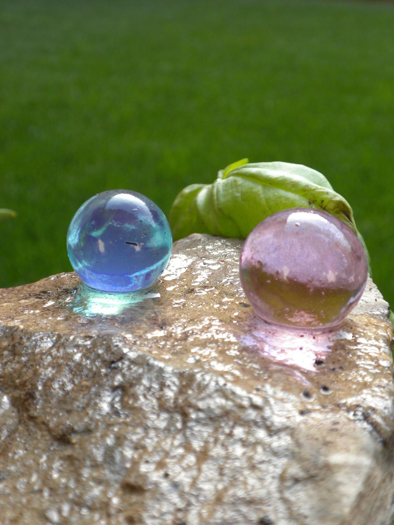 Orto d’Artista: dalla Semina al Raccolto