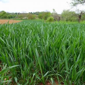 De la place pour tous...