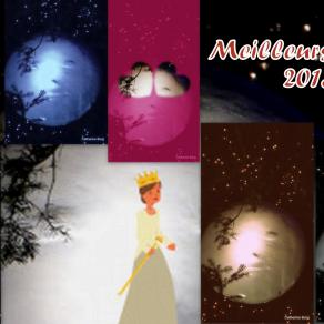 Bonne Année ! Happy New Year ! Felice Anno Nuovo !