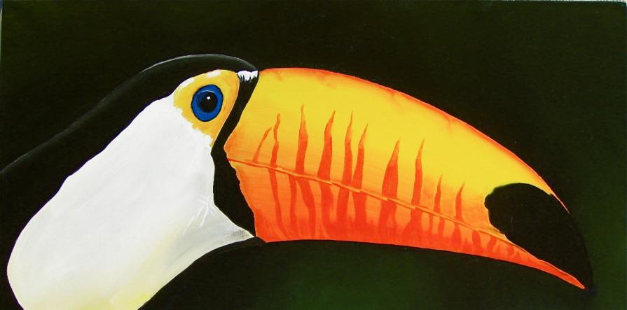 TUCANO