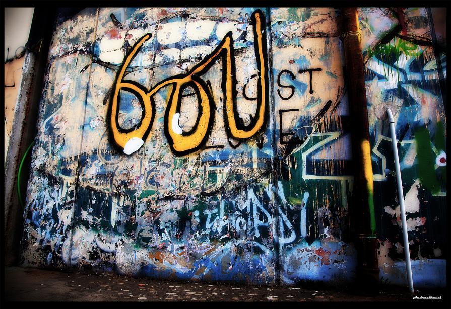 ...SCHEGGE DI OCCHIO DI RA (44)...