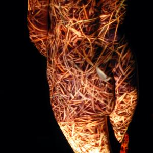 DRY FIELD (back) DRY FIELD (back)