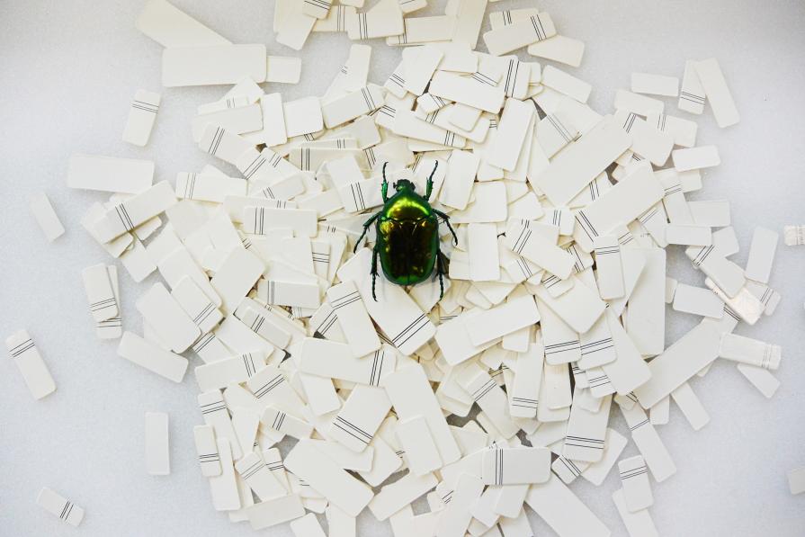 Classificazione poetica