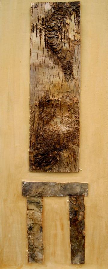 L'ALBERO RACCONTA  "SINTESI"