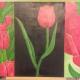 Red Tulips
