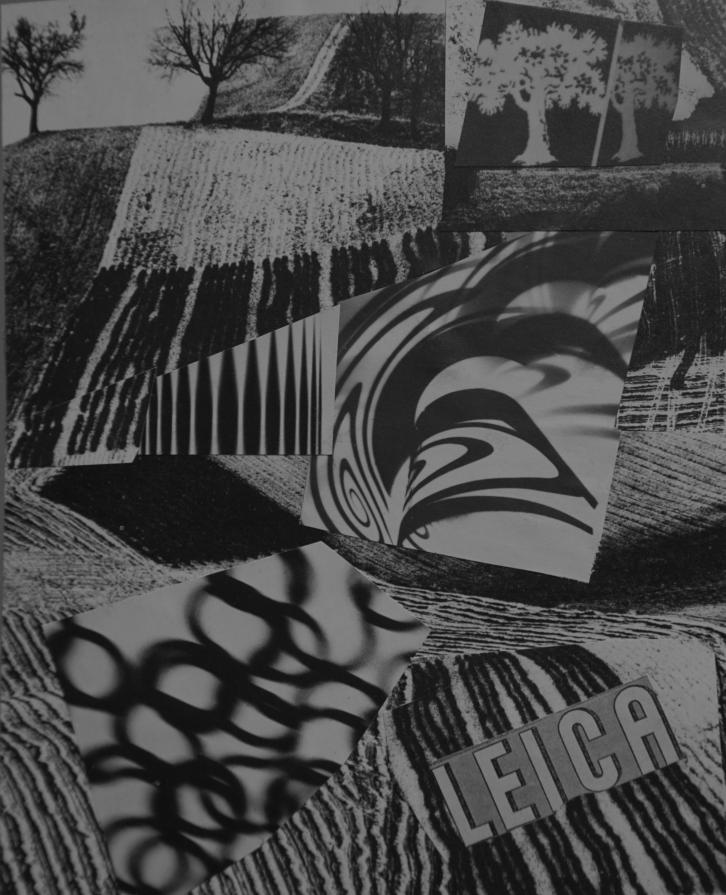 Paesaggio in bianco e nero