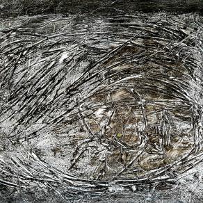 You are in my eyes (n.220)