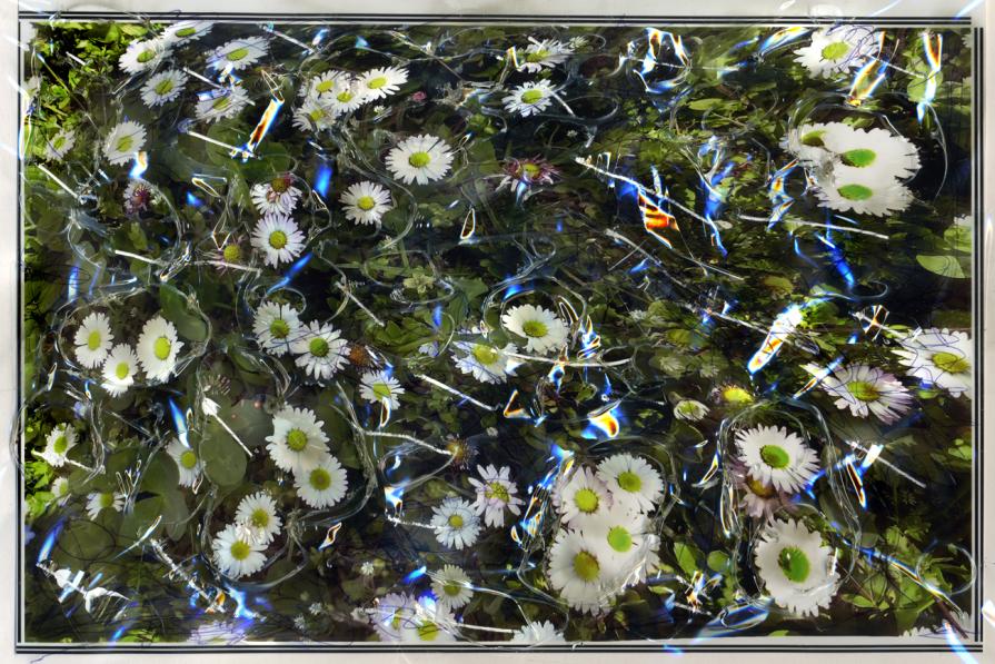 strappo di primavera.