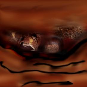 a eccole le castagne nello spazio marrone