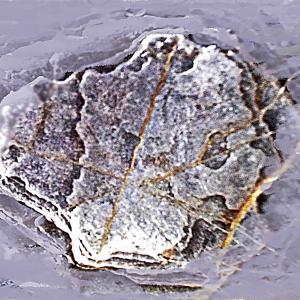 Utopia contemporanea11 Utopia contemporanea11