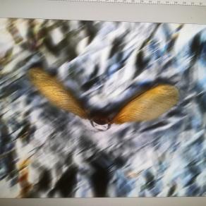 Volare a alta quota è possibile. 