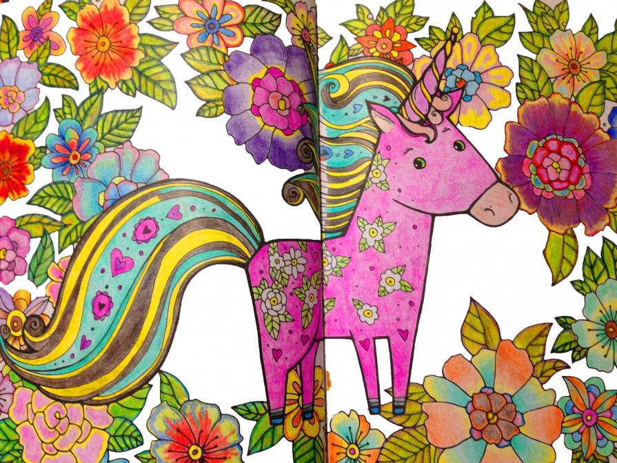  Tra sogno colori e fantasia 15