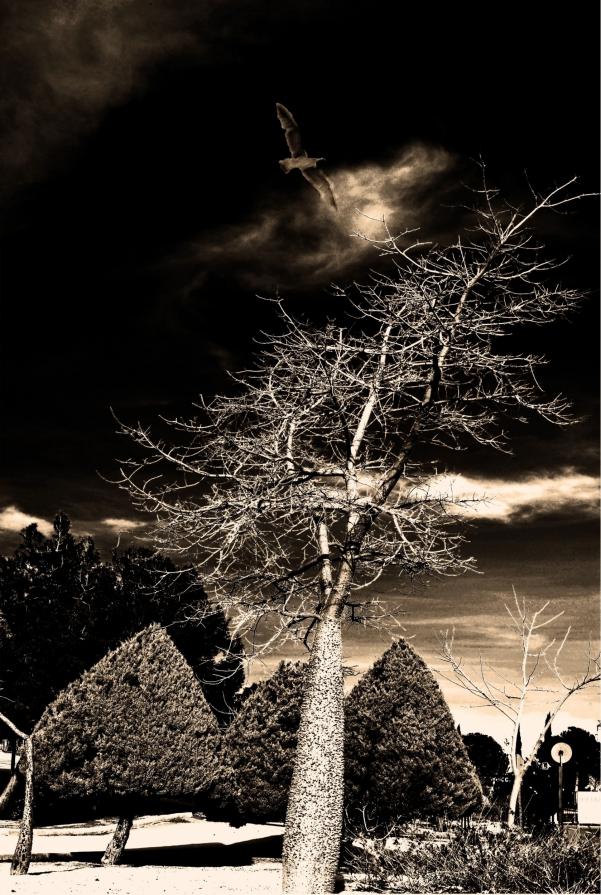 The flight The flight