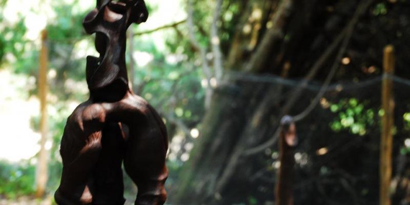 Nel bosco segreto Nel bosco segreto