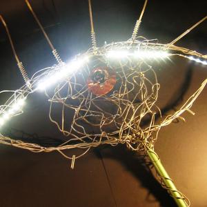 visitate il mio sito"www.giancalobucci.eu"