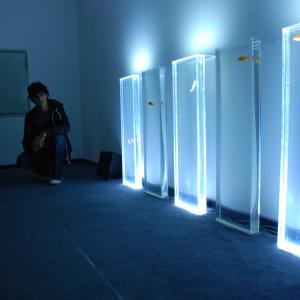 Premiazione e mostra finale Celeste Prize 2009 Premiazione e mostra finale Celeste Prize 2009