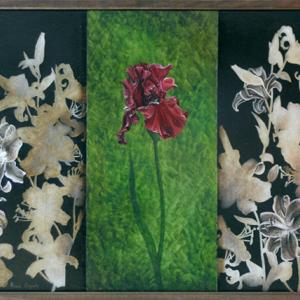 Di fragili fiori e giardini incantati. Natura e mito nelle opere di Ilaria Caputo Di fragili fiori e giardini incantati. Natura e mito nelle opere di Ilaria Caputo