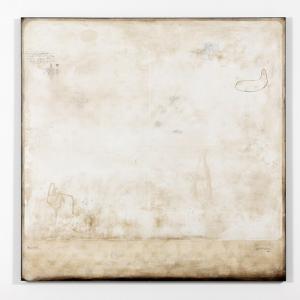 Mirko Baricchi, Derive