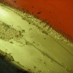 Mostra personale di Rachele Mari-Zanoli La vita nel colore