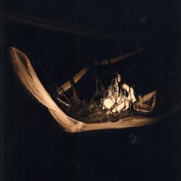 principessa del velo