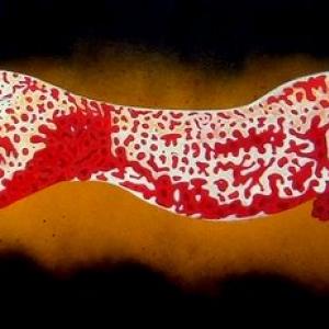 MUSICA MUSICA!!suoni e rumori - DAL SUONO AL SEGNO di ANTONIO GIACOMETTI MUSICA MUSICA!!suoni e rumori - DAL SUONO AL SEGNO di ANTONIO GIACOMETTI