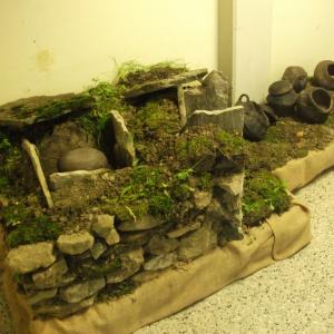 AMMETTO!!!,  ANCH'IO NON SAPEVO...