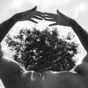 AVERE O ESSERE? AVERE O ESSERE?