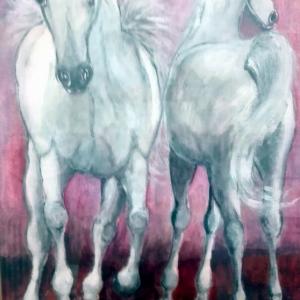 Versiliesi sulle rive dell'Arno Versiliesi sulle rive dell'Arno