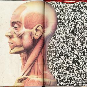 Ti rubo gli occhi- MANIFESTA 03