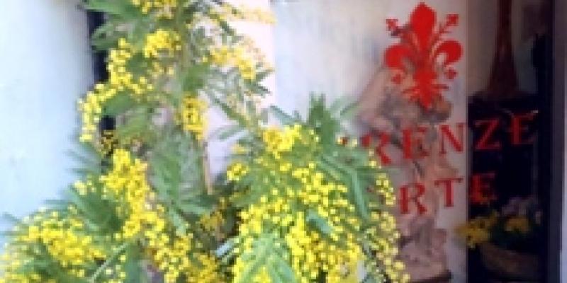 Group III Women's Day