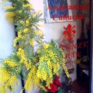 Group III Women's Day