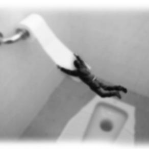 ...nel mondo dei sogni #09