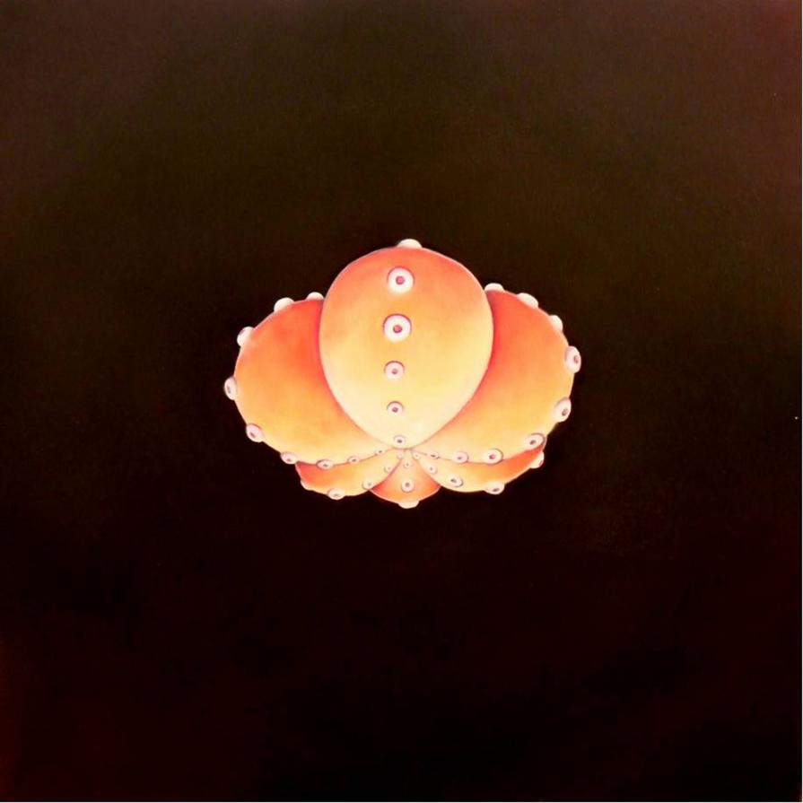 Ogni traguardo è un punto di partenza